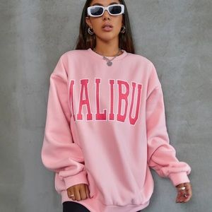 Shien: Malibu Pink Crew neck Sweater